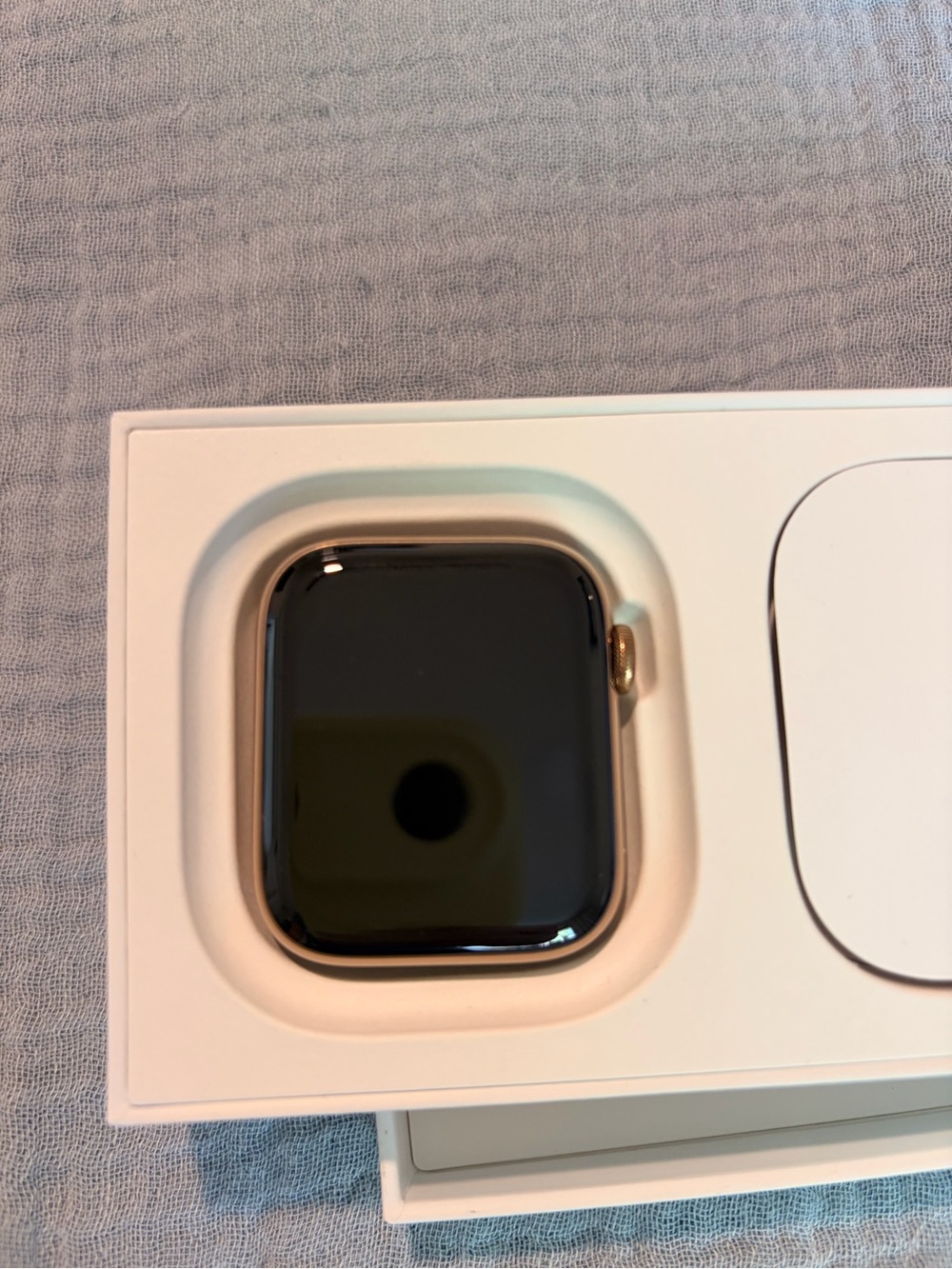 Apple Watch Gold Case with Black Display